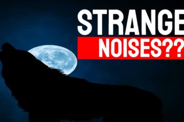 Could The Strange Noises Be Ghosts?