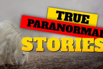 Paranormal Investigator Ghost Stories