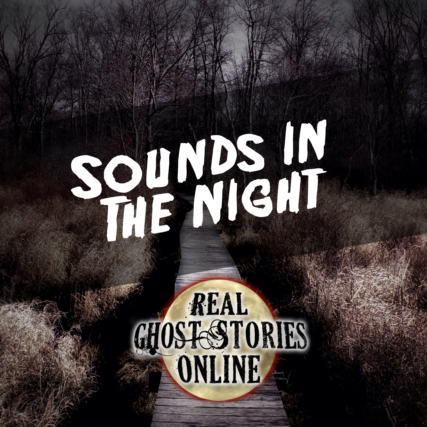 Sounds In The Night - Real Ghost Stories Online