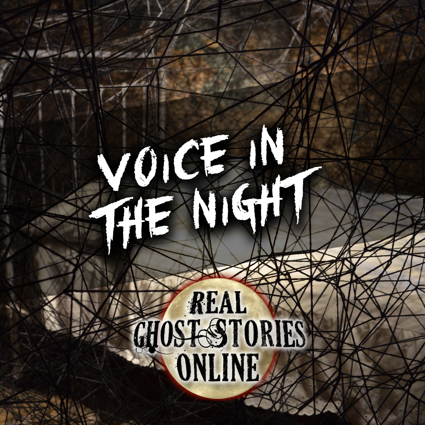 Voice In The Night - Real Ghost Stories Online